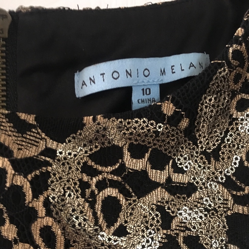 NEW WITH TAGS Antonio Melani dress size 10